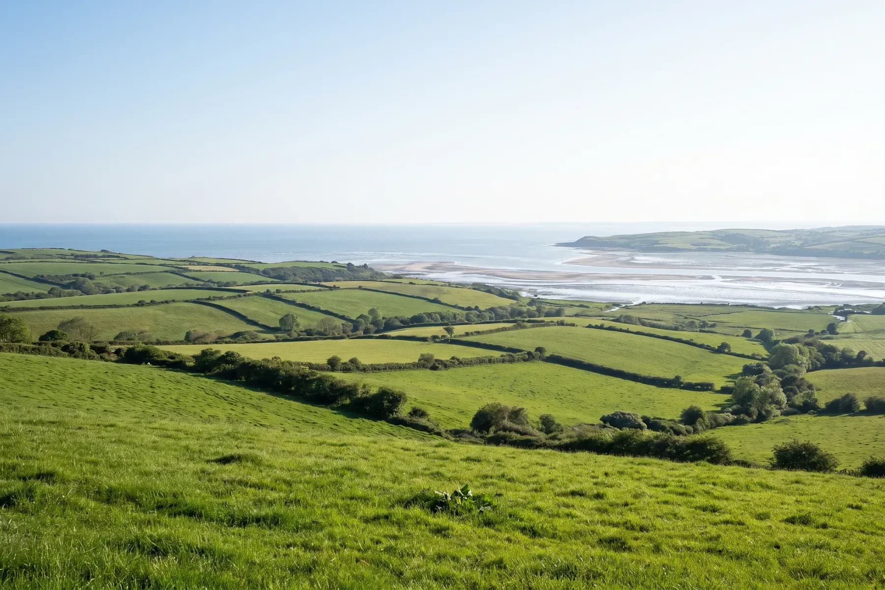 Appliance Repair across Plymouth, Devon and Cornwall